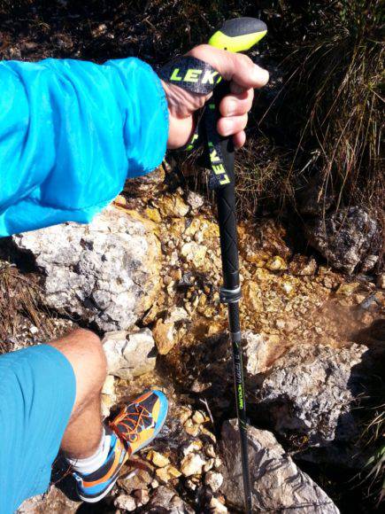 Bastoncini LEKI Microvario Ti System