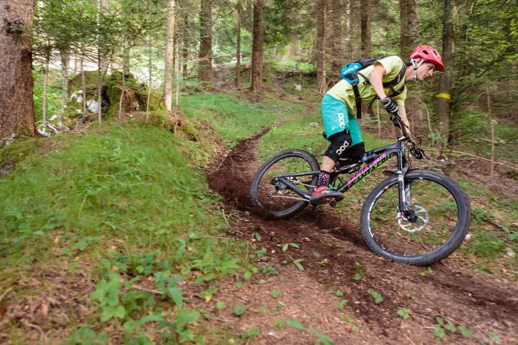 Trail entusiasmanti nei boschi della Paganella