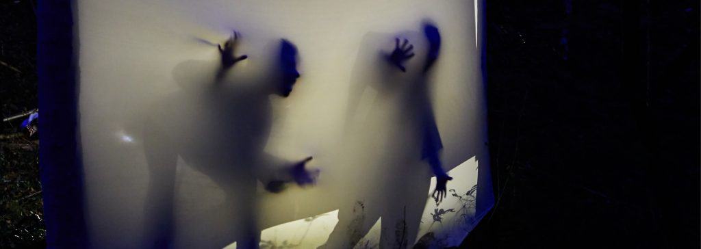 Cammina con i Gufi, escursioni notturne in Dolomiti accompagnate da artisti e musicisti