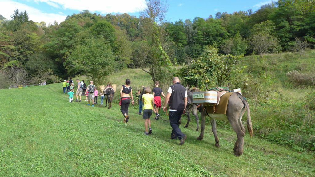AKU organizza il Trek con gli asini