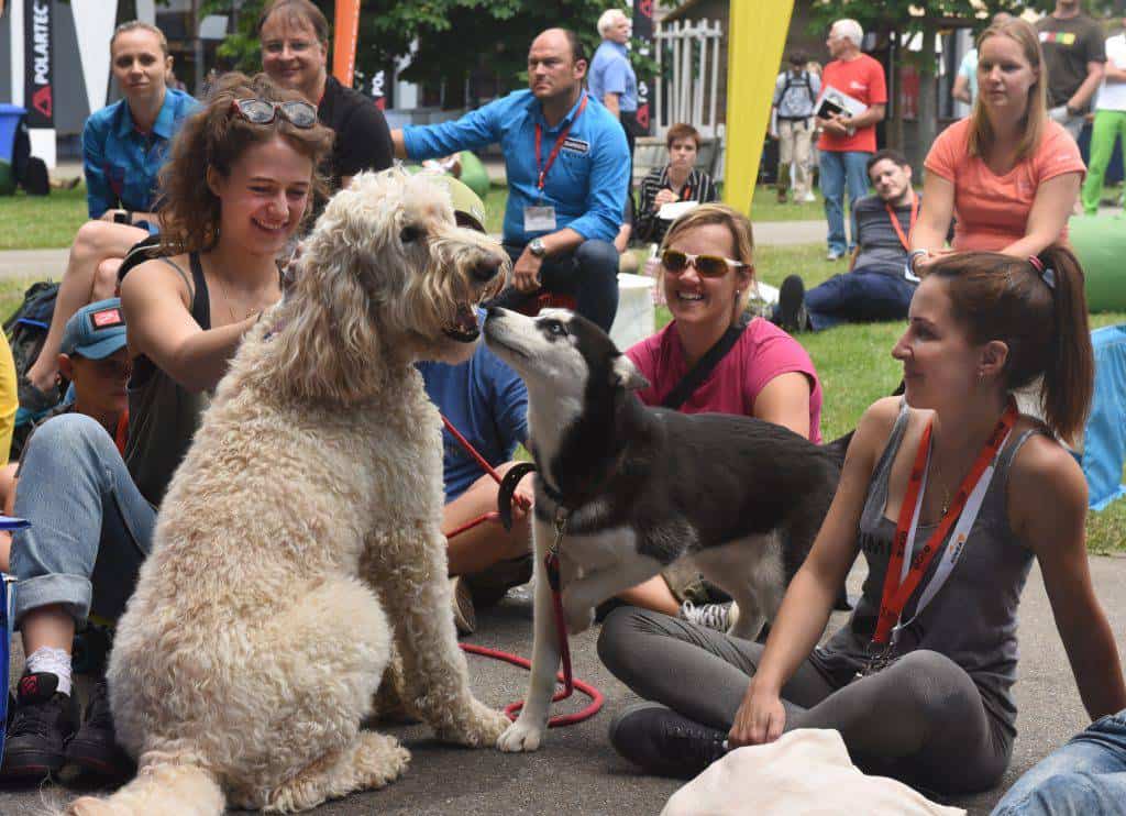 Finale High Jump Contest