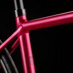 Endurace WMN AL Disc 7.0 by Canyon