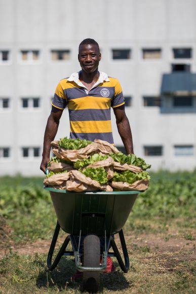 L'orto di Salewa, Lamin, Gambia(foto ©g.pichler)
