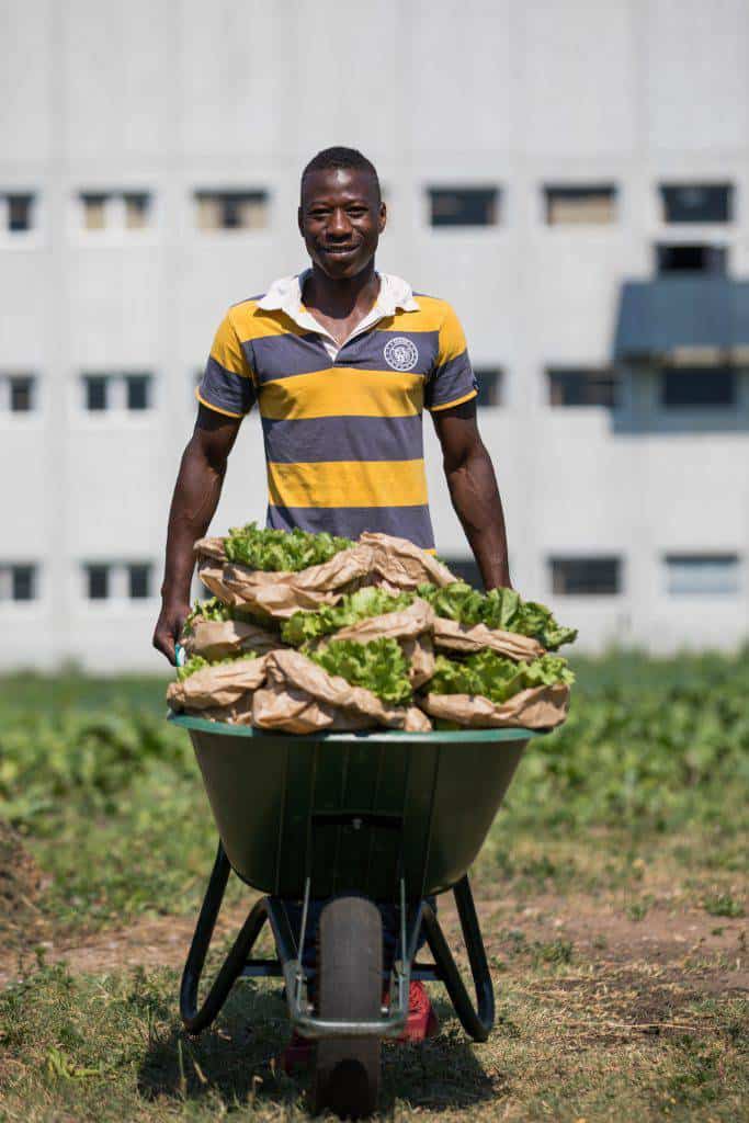 L'orto di Salewa, Lamin, Gambia(foto ©g.pichler)