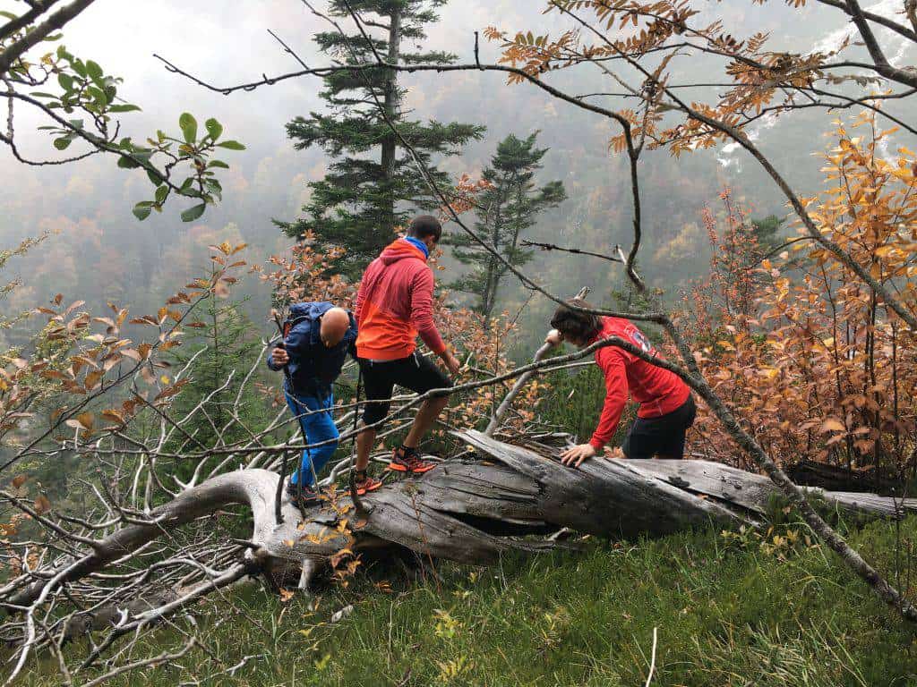 Test sul tronco con Riccardo Stacchini, Riccardo Pizzetti e Andrea Bilatti