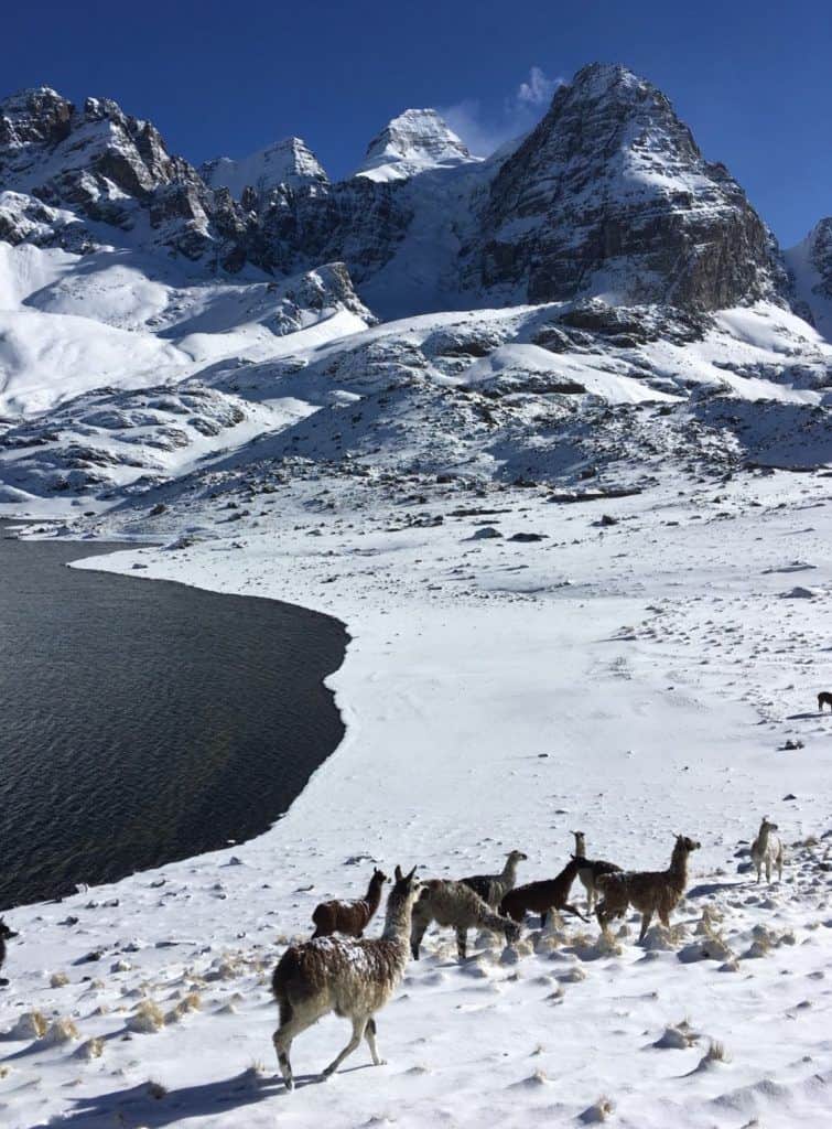 Salite di acclimatamento