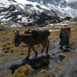 In viaggio verso le montagne