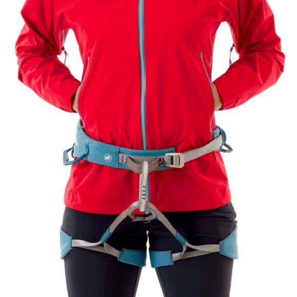 Mammut Masao particolare vita