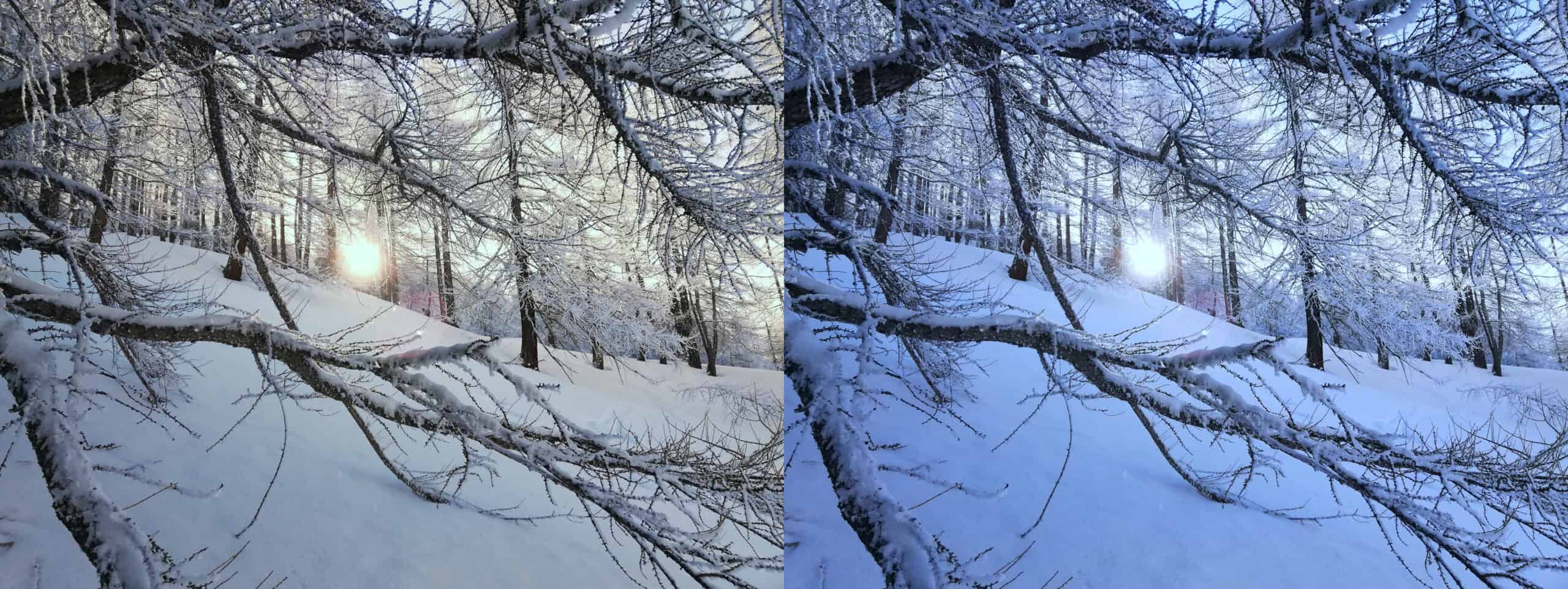 Bilanciamento del bianco diverso sulla stessa foto