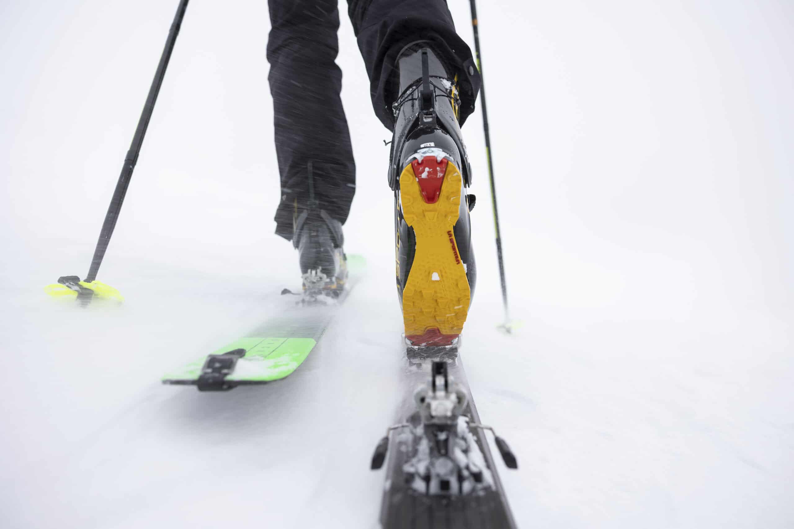 43° sessione di test invernali a Madonna di Campiglio