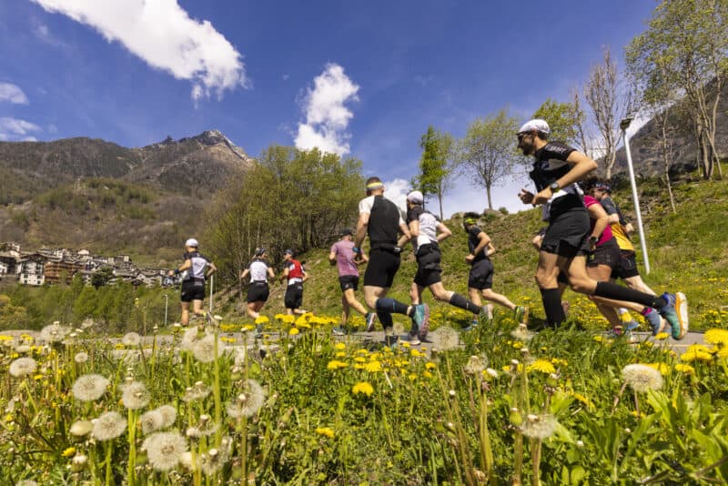 I "selvadec", in allenamento.