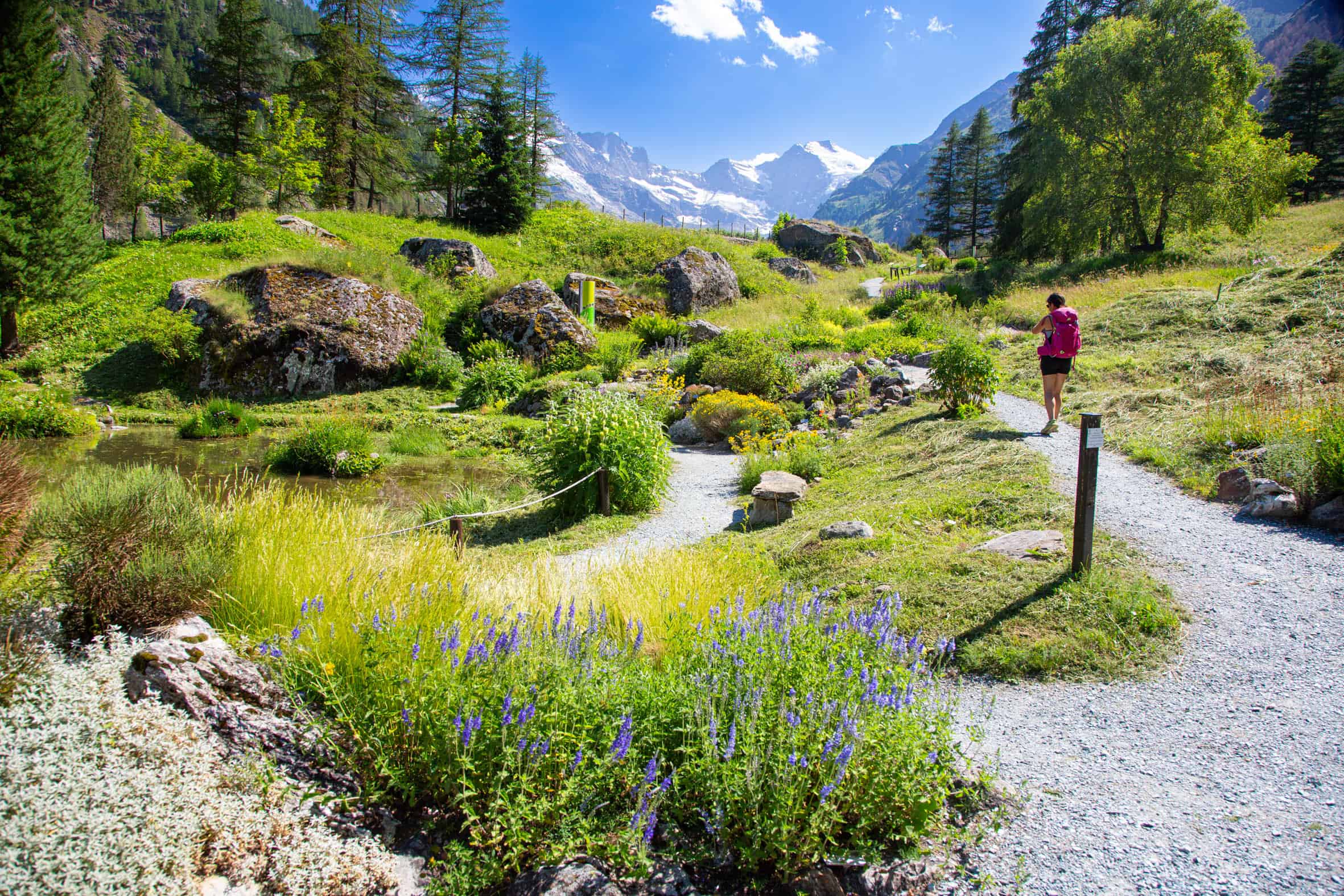 VALLE D'AOSTA-Giardino botanico Paradisia