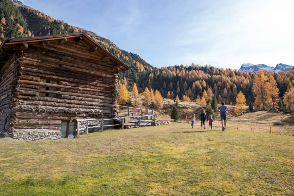 Bosco di larici dorati in autunno e vecchia baita in legno, escursionisti su un prato con cime innevate sullo sfondo