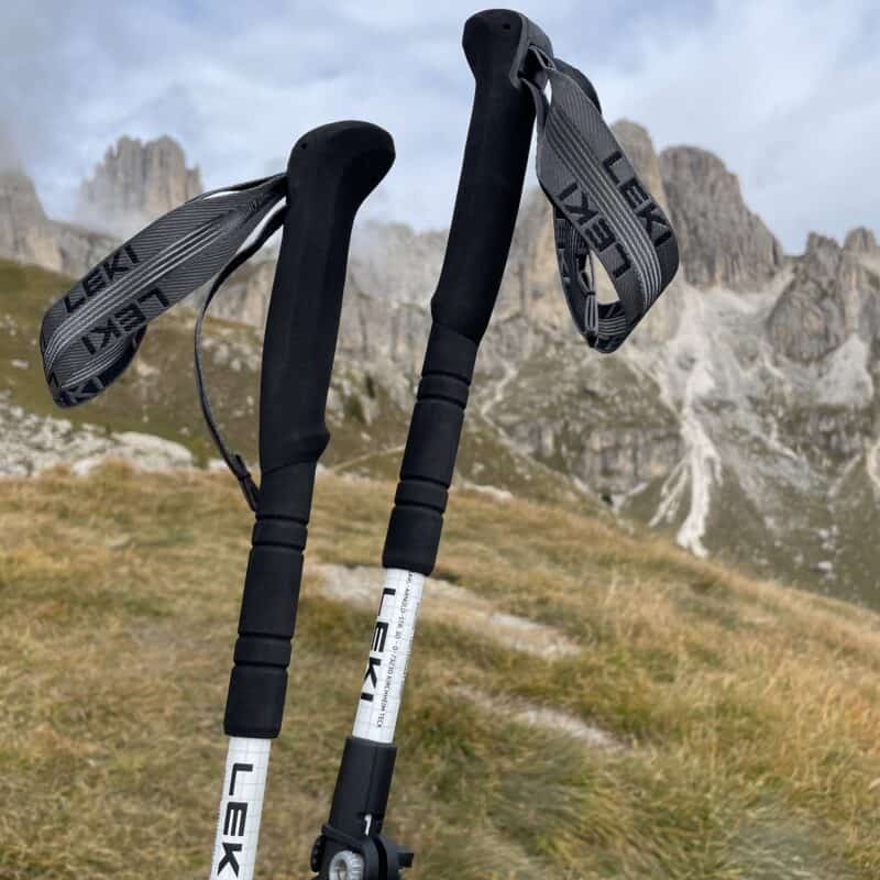 Leki Skytera