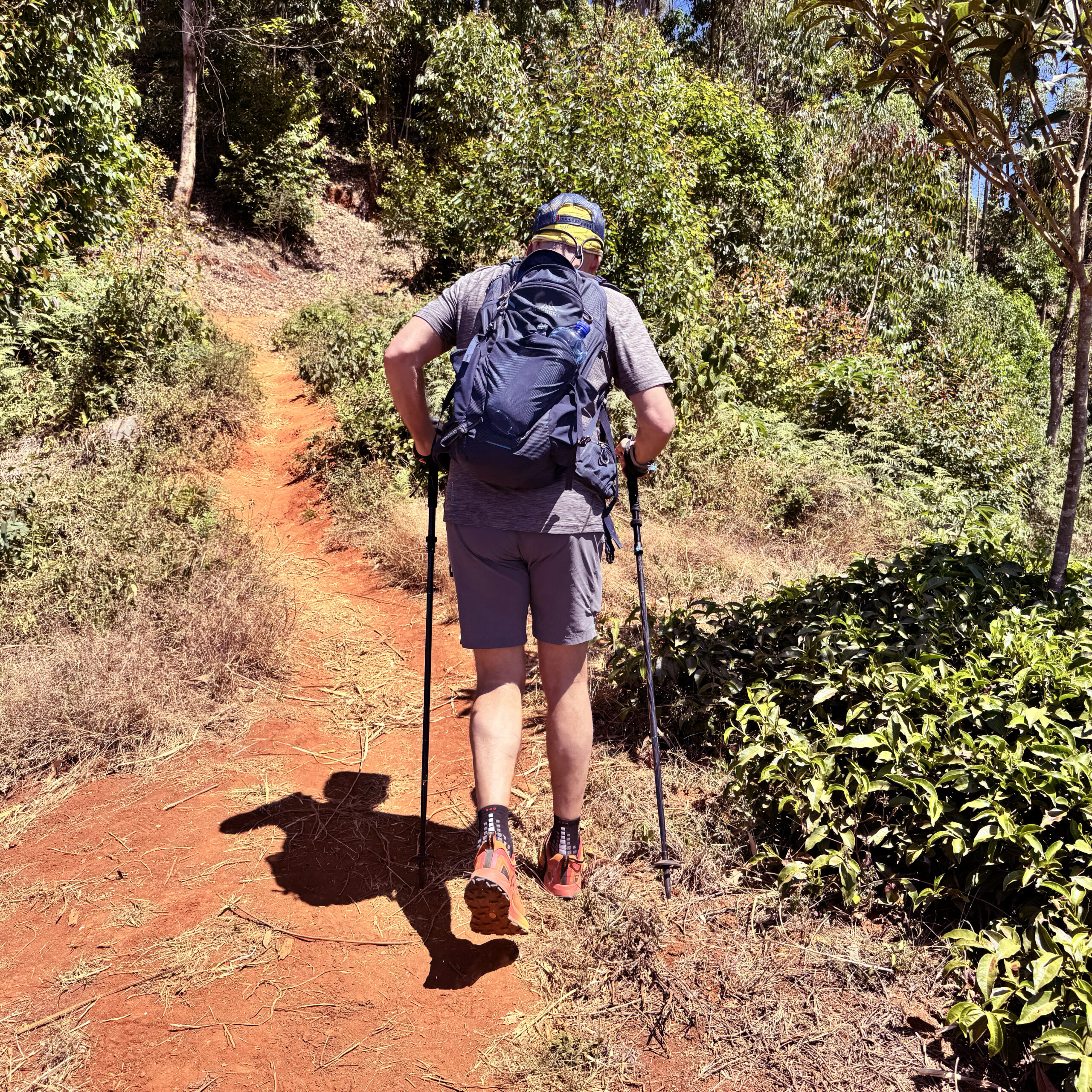 Sentieri in terra rossa a Kagwe (Kenya) alla scoperta delle piantagioni di Tè.