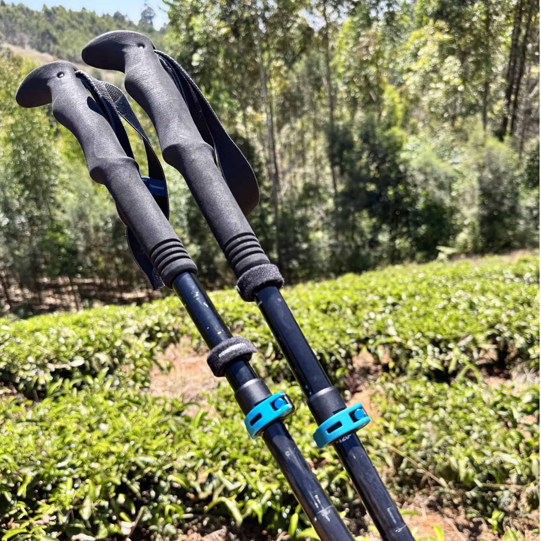 Impugnatura e sistema di blocco del bastone FX Lite Carbon Vario Approach.