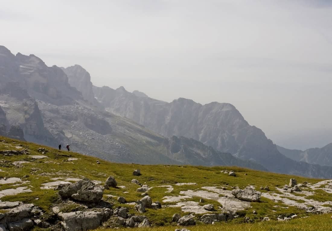 Orto della Regina Madonna di Campiglio