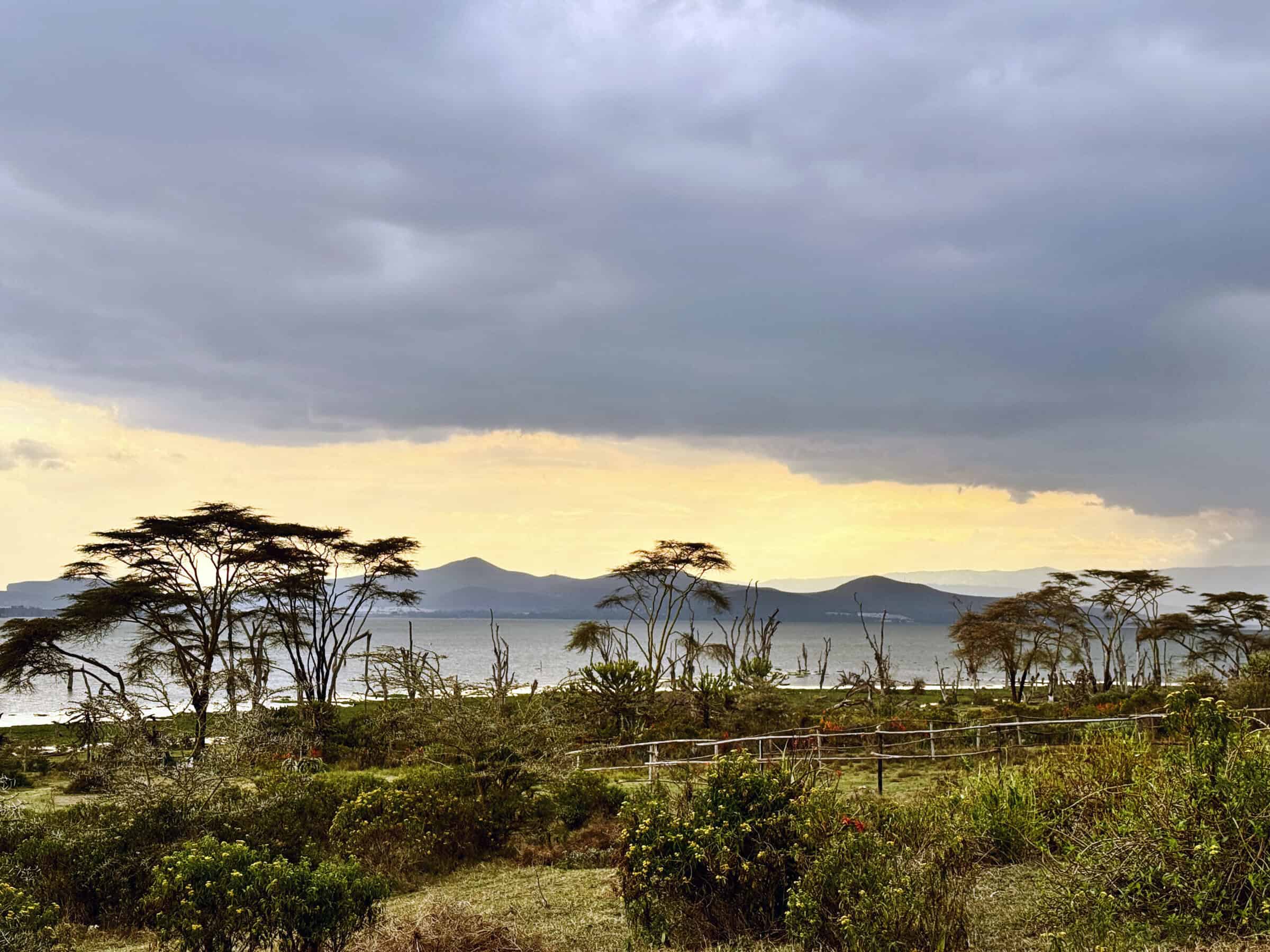 Il Lago Naivasha si risveglia tra luci dorate e riflessi d’acqua: qui il tempo sembra rallentare, invitando alla contemplazione.