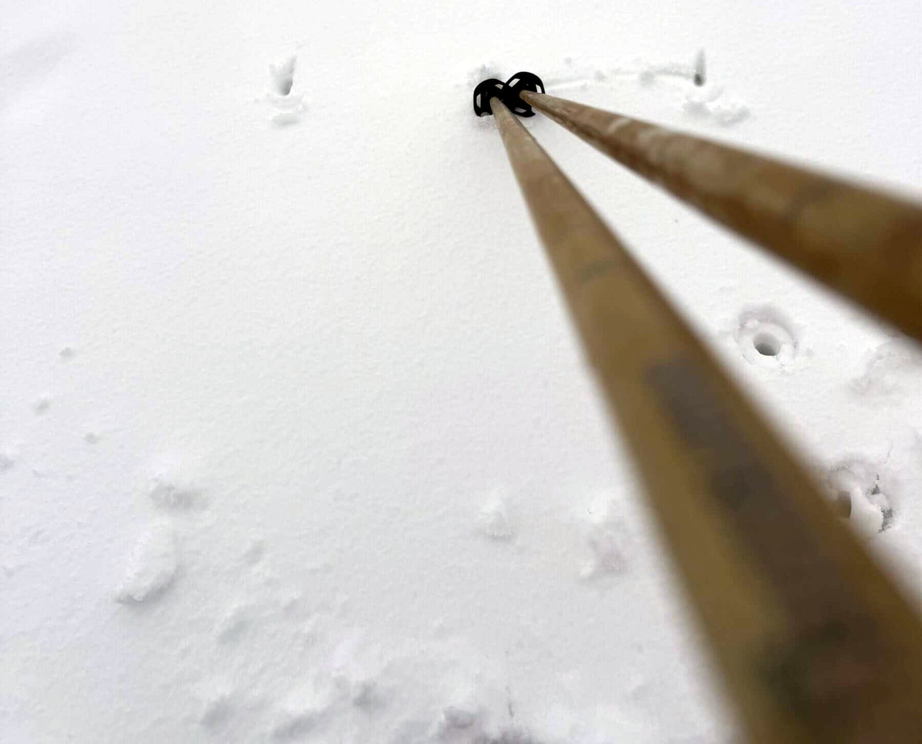 Dettaglio del bastone nel white out