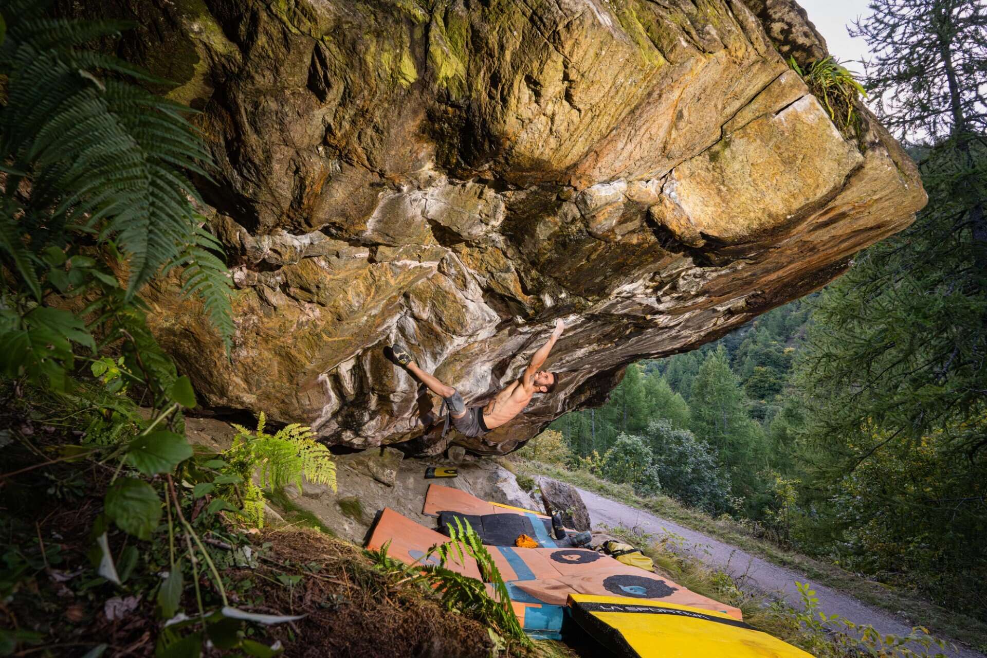 Elias Iagnemma Exodia