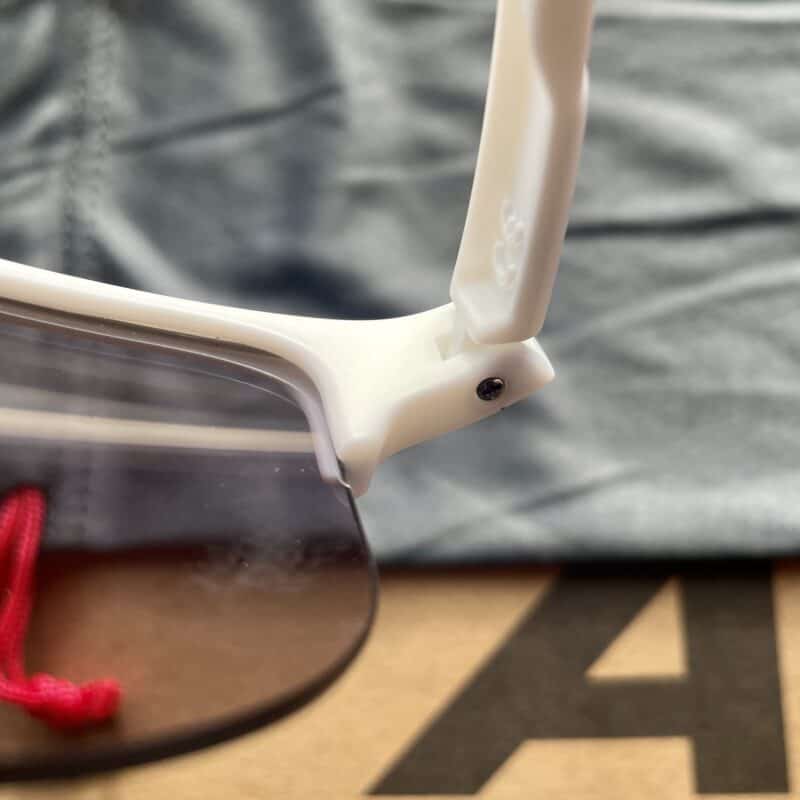 Alpina Eagle V con montatura in PT90