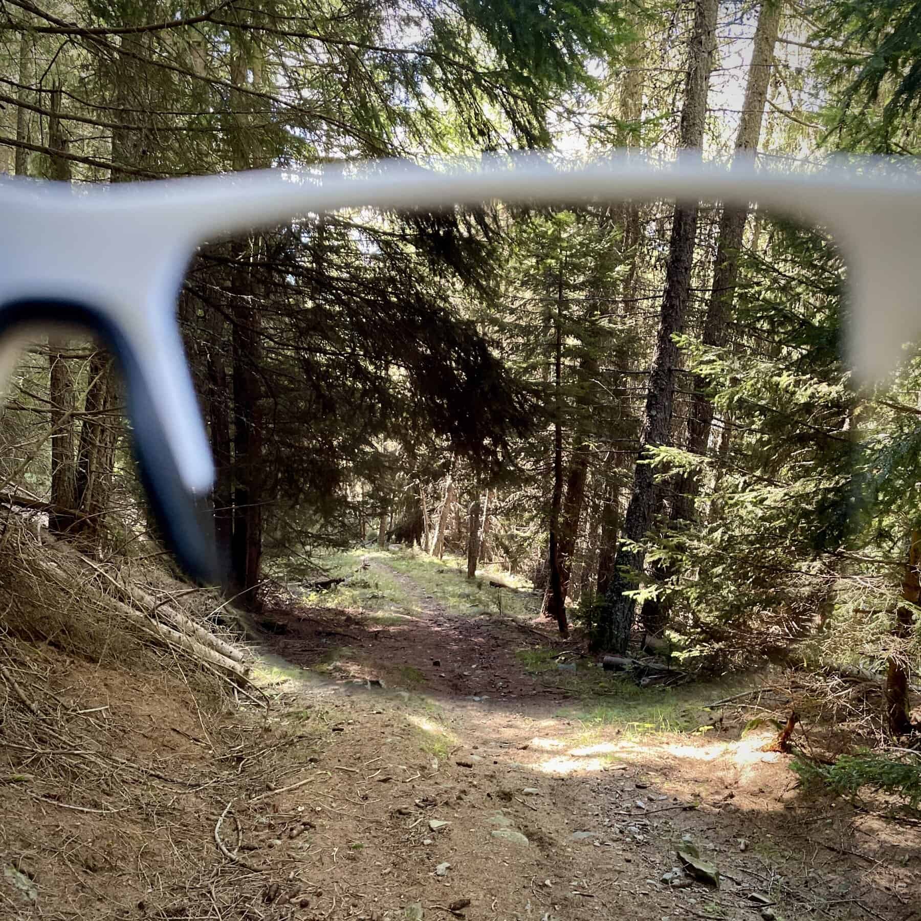 Alpina Eagle V nel bosco