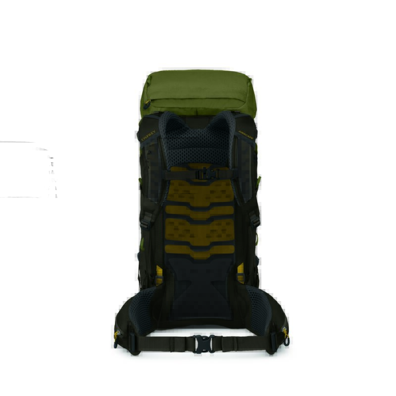 Osprey Kestrel LT 45