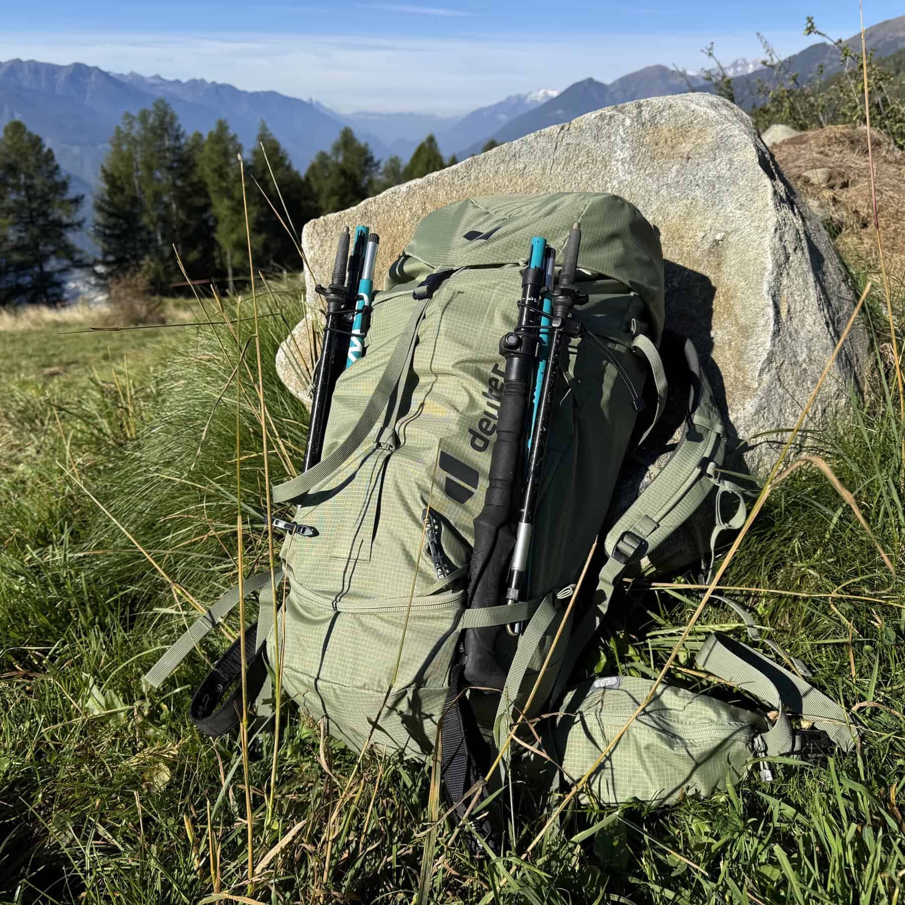 Deuter Guide 34+6 visione d'insieme della parte posteriore