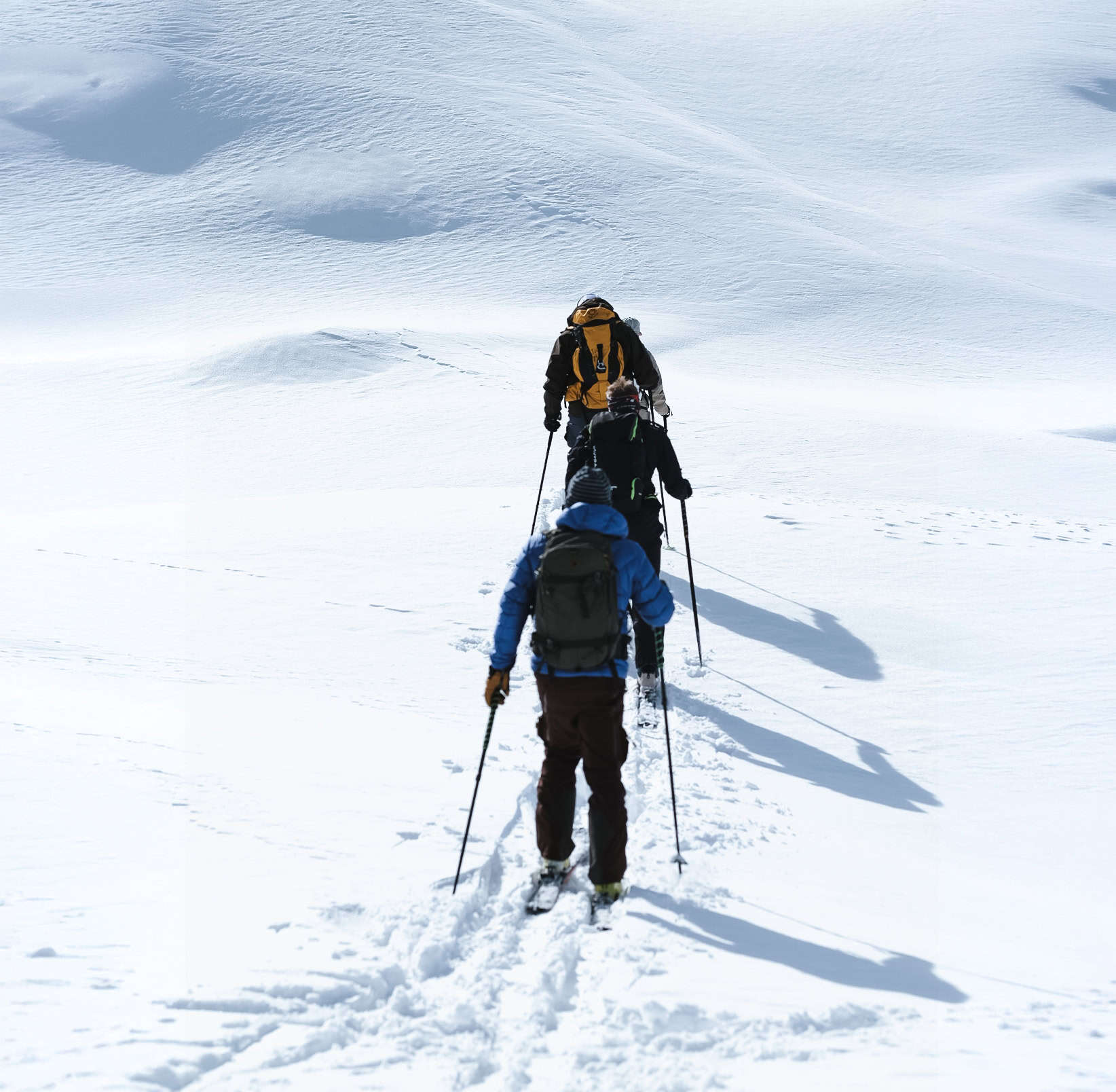 Gruppo di scialpinisti in salita in ambiente alpino innevato, che avanzano in fila lungo una traccia sulla neve