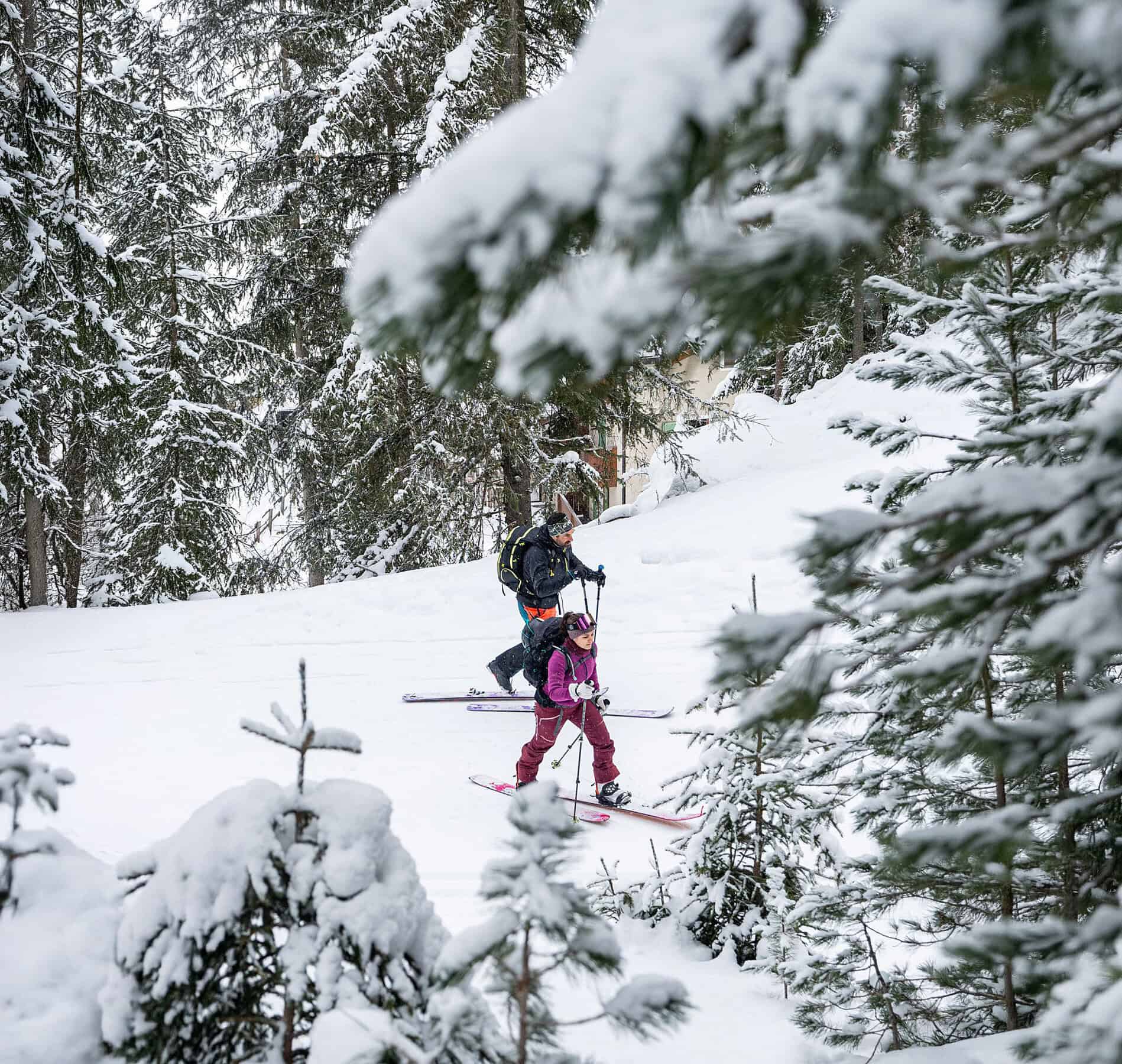 Experience Skimofestival a Santa Caterina Valfurva, nel Parco Nazionale dello Stelvio: adulto e bambina in uscita di sci alpinismo in bosco innevato