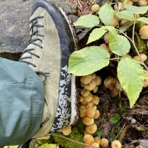 Zamberlan Salathé Trek GTX