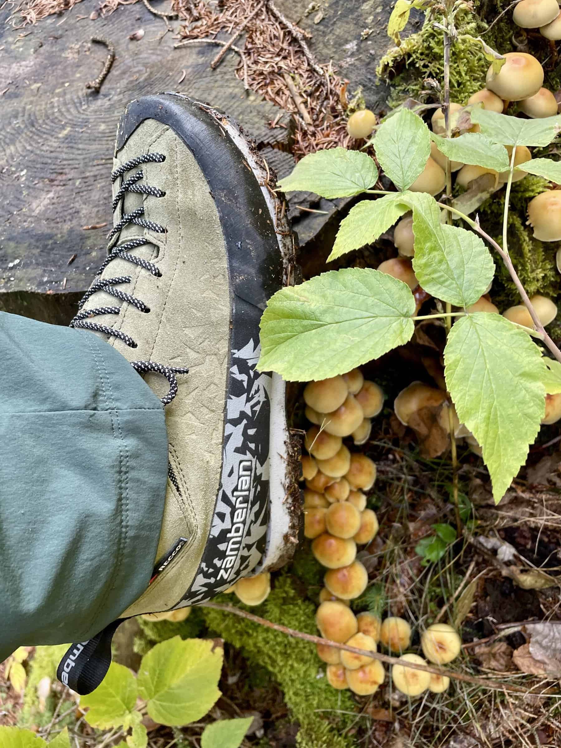 Zamberlan Salathé Trek GTX