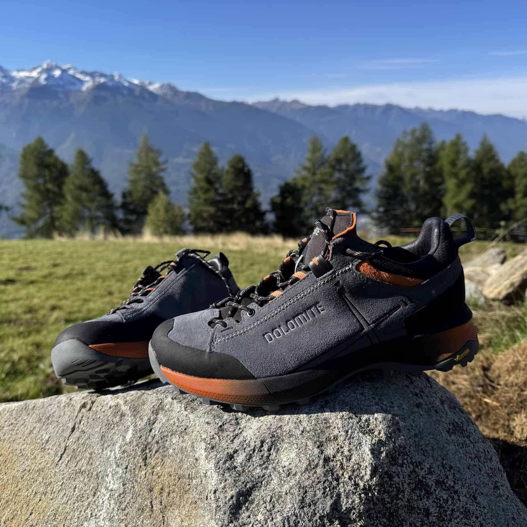 Dolomite Vernale Hike Low GTX visione d'insieme