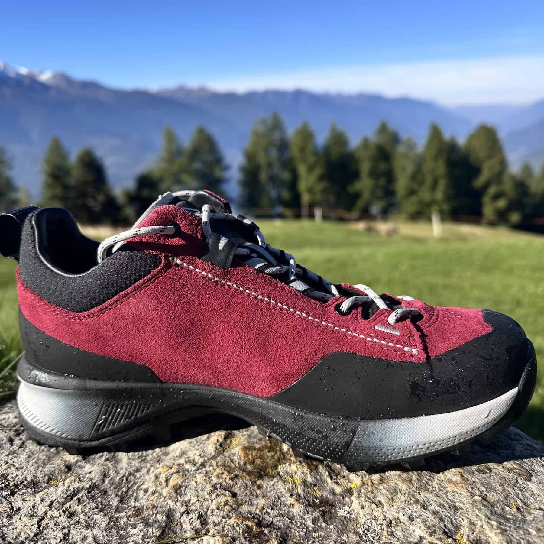 Dolomite Vernale Hike Low GTX Women’s