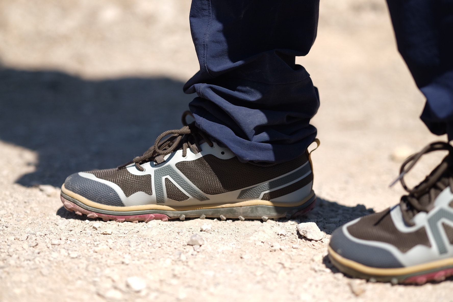 Xero Shoes Scrambler Low EV WP