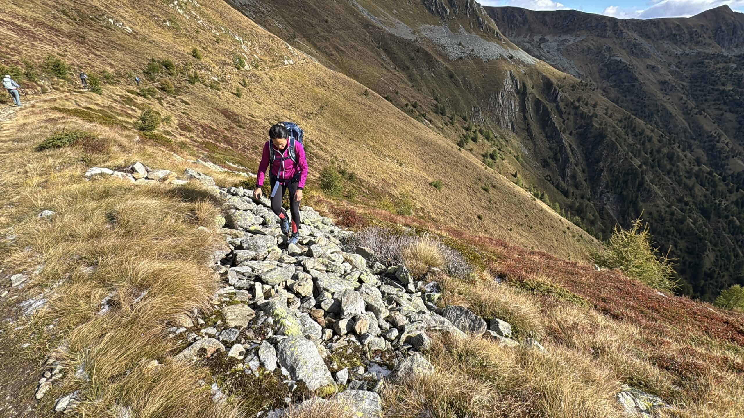 Zamberlan Salathé Trek GTX RR